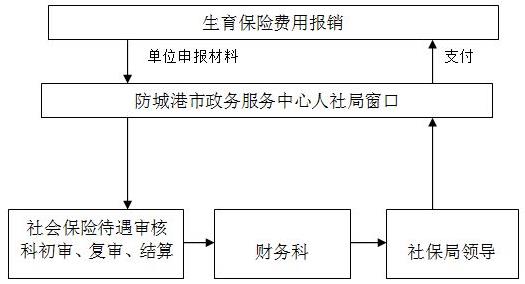 骏伯生育保险保险流程