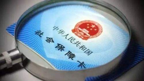 缴纳社保