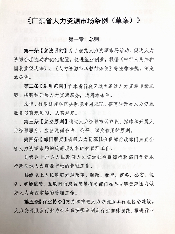 条例草案
